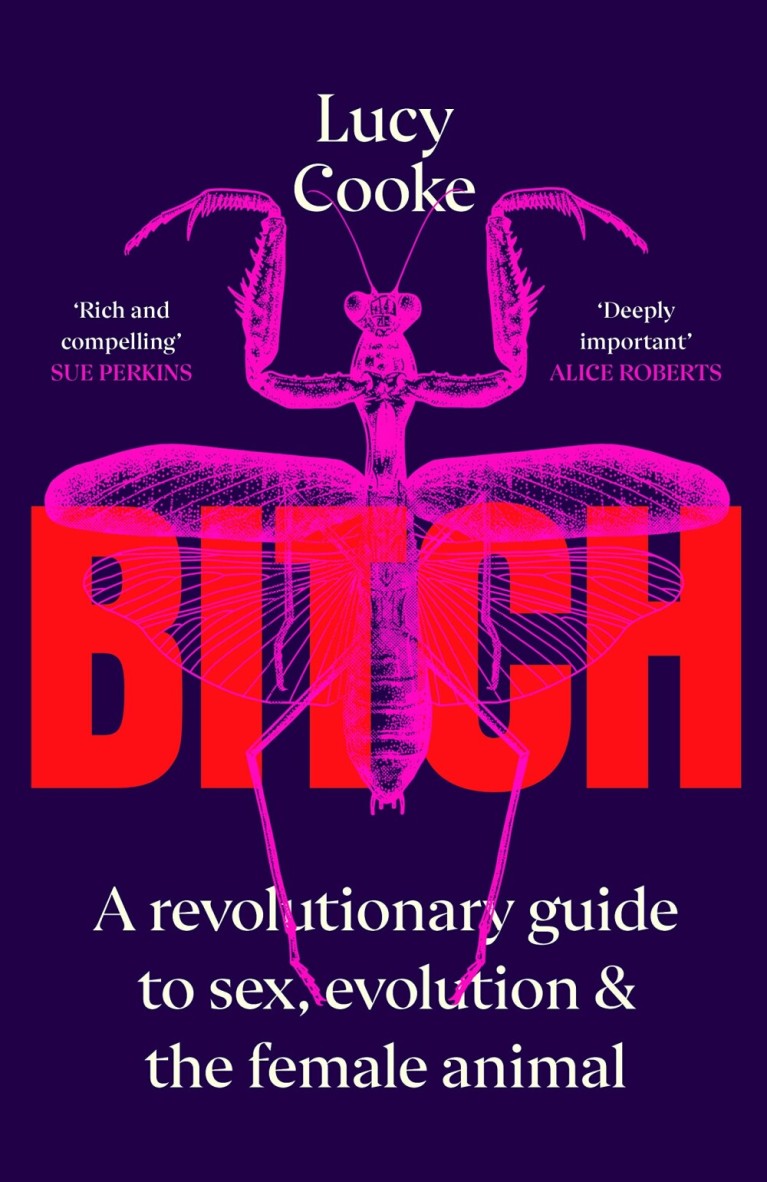 Bitch : A Revolutionary Guide to Sex, Evolution and the Female Animal