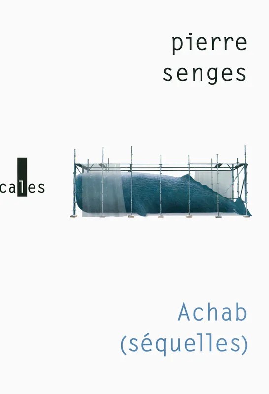 Achab  (Séquelles)