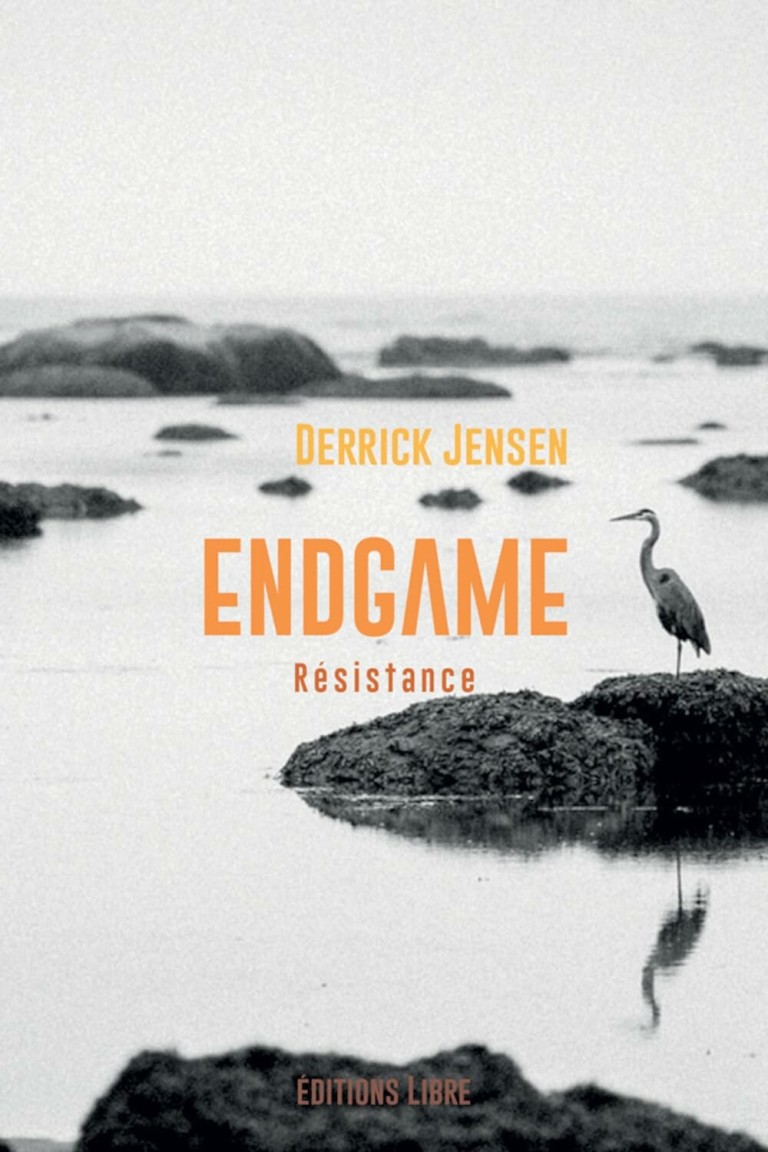 Endgame : Tome 2, Résistance