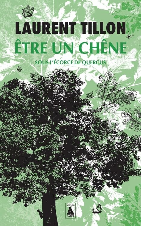 Être un chêne : sous l'écorce de Quercus