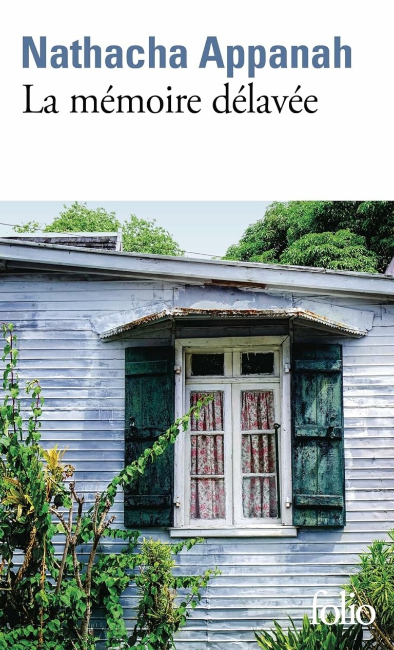 La mémoire délavée