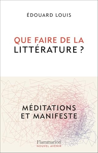 Que faire de la littérature ? Méditations et Manifeste