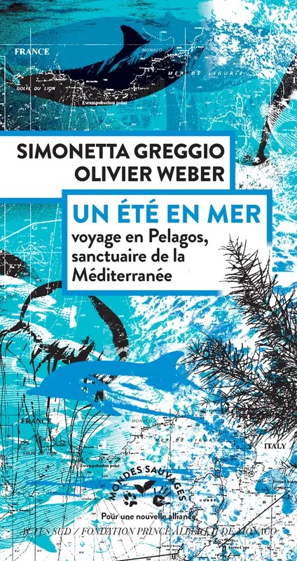 Un été en mer