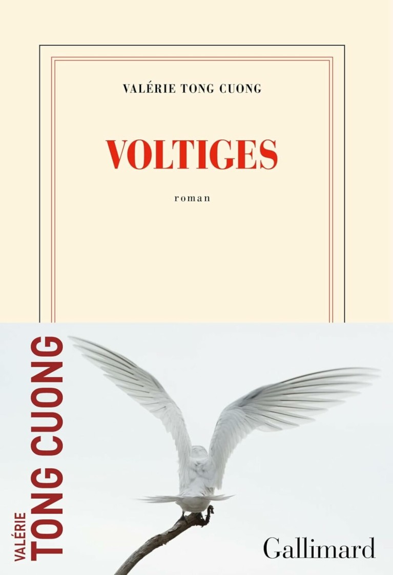 Voltiges