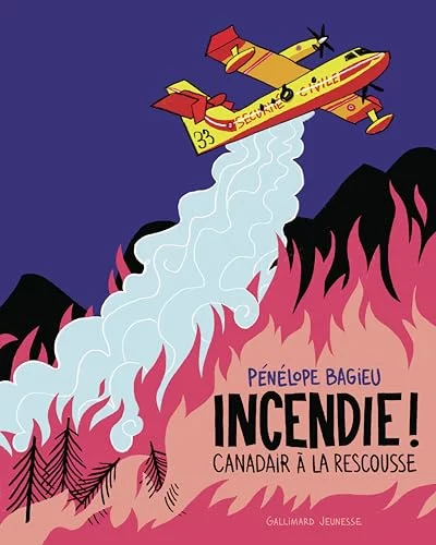 Incendie !: Canadair à la rescousse