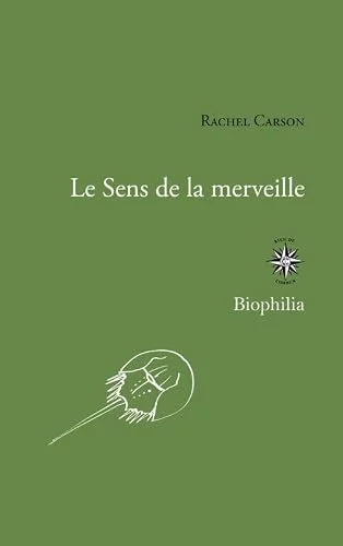 Le sens de la merveille