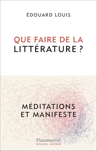Que faire de la littérature ? Méditations et Manifeste