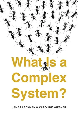 What Is a Complex System ?