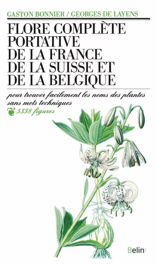 Flore Bonnier