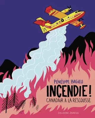Incendie !: Canadair à la rescousse
