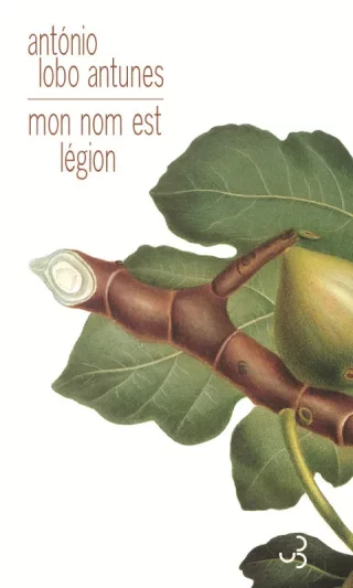 Mon nom est Légion