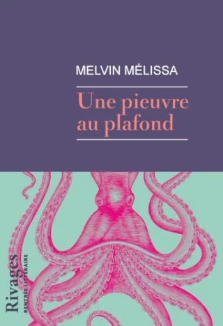 Une pieuvre au plafond